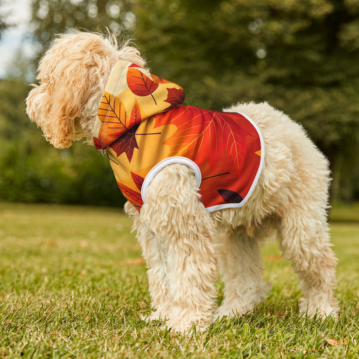 FASHION JUNKY - Fall Colors Pet Hoodie