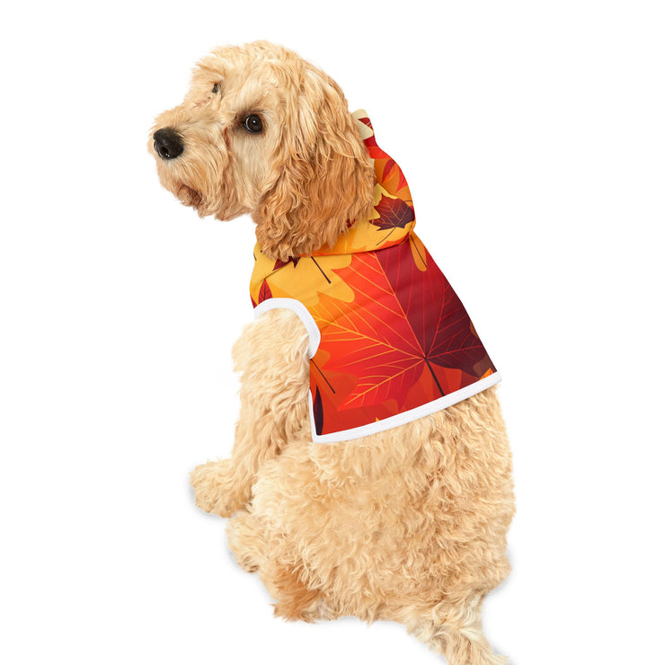 FASHION JUNKY - Fall Colors Pet Hoodie