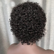 Short Curly Lace Front Wigs Human Hair Wigs for Black Women Pixie Cut Wigs Human Hair Short Curly Human Hair Wigs Pre Plucked with Baby Hair 150% Density Natural Black