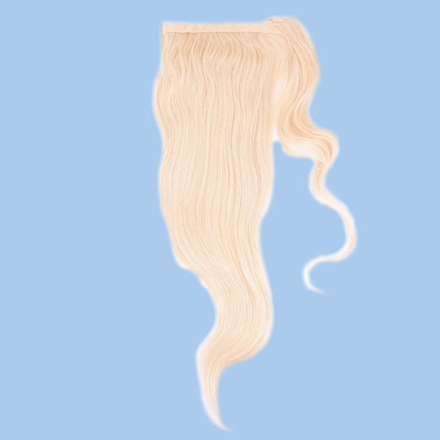 Blonde Ponytail